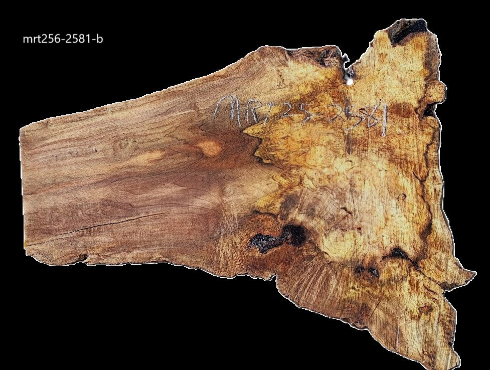 Myrtle Burl Slab | DIY | Table | Craft Wood | River Table | Mrt25-2581