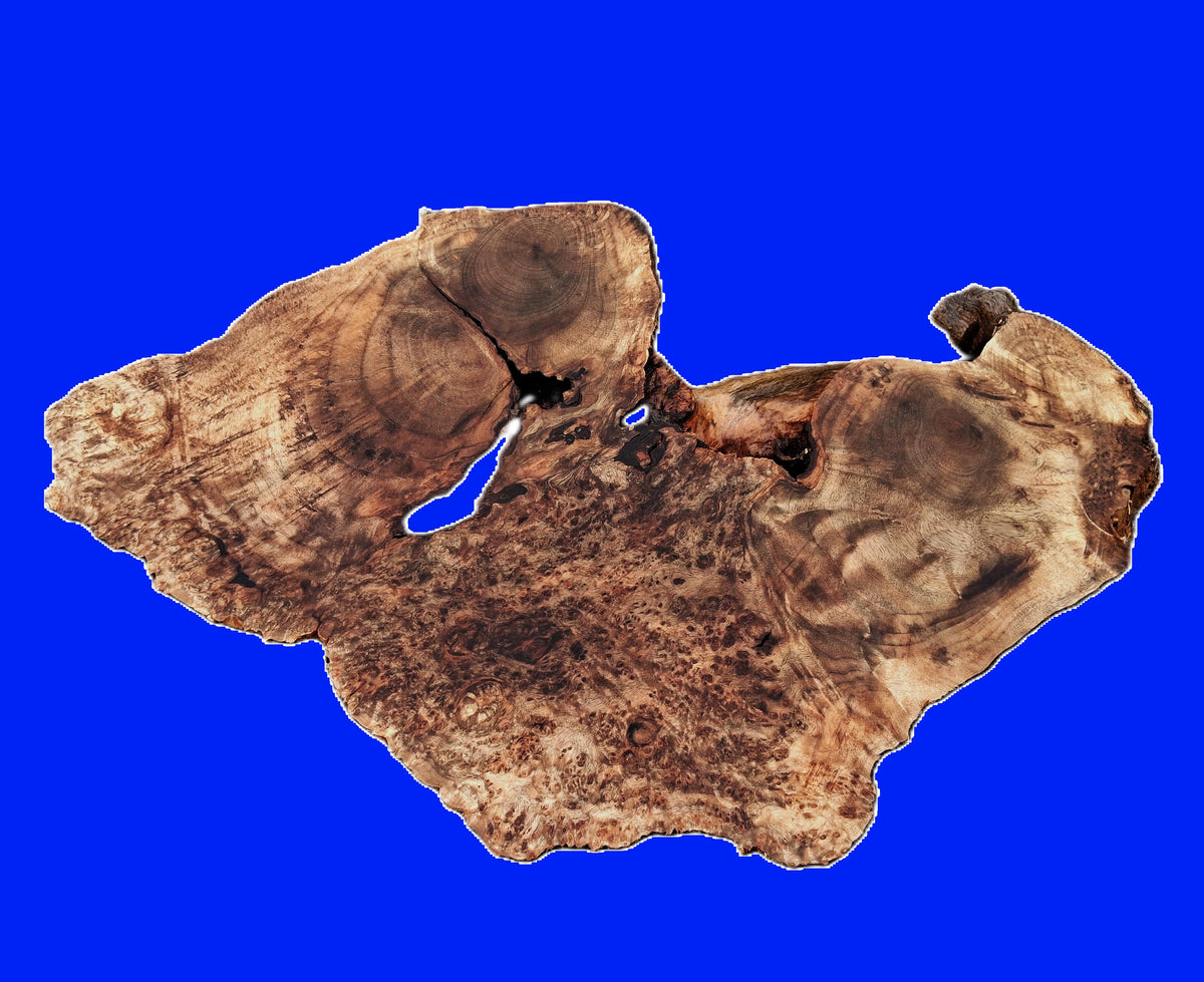Myrtle Burl Slab| DIY Crafts | Myrtle Wood | MRT26-2720