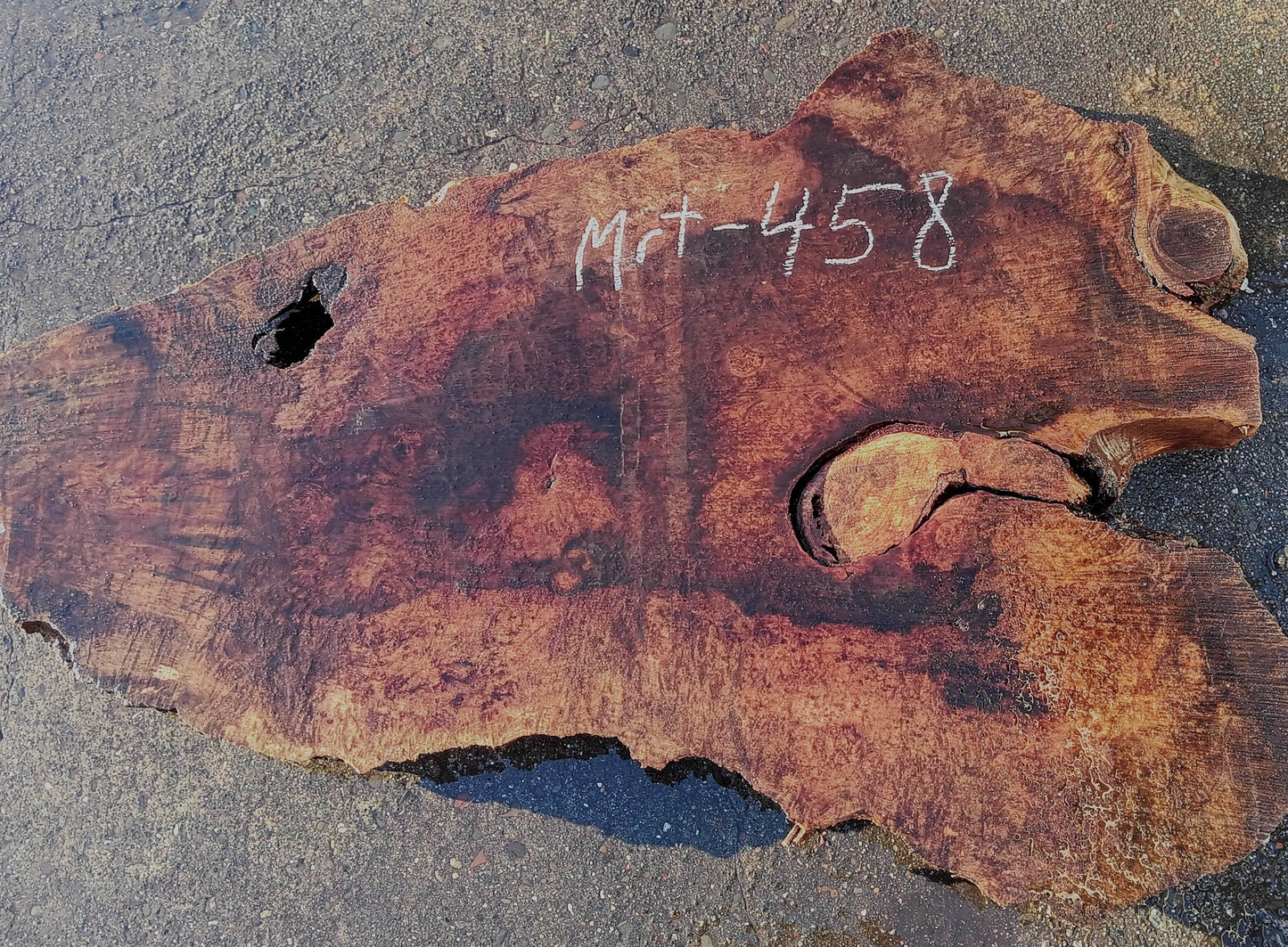Myrtle Burl Slab | DIY | Table | Craft Wood | River Table | Mrt458