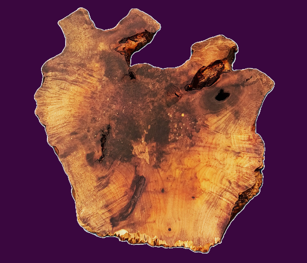 Myrtle Bay Laurel Burl | DIY | Live Edge Slab | River Table |craft ideas | MRT467
