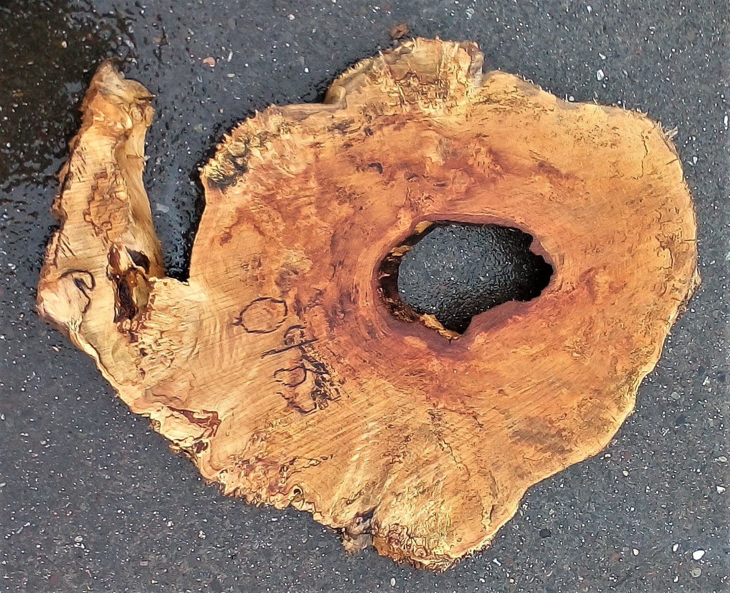 Maple | burl table | exotic wood | epoxy river table | DIY | ma23-0483