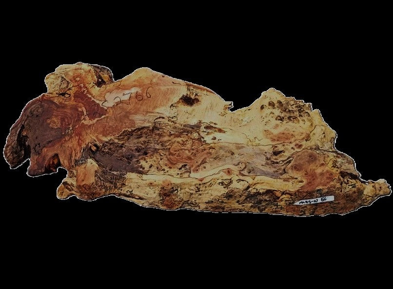 Maple Burl | Live Edge Slab | River Table | DIY | MA25-2766