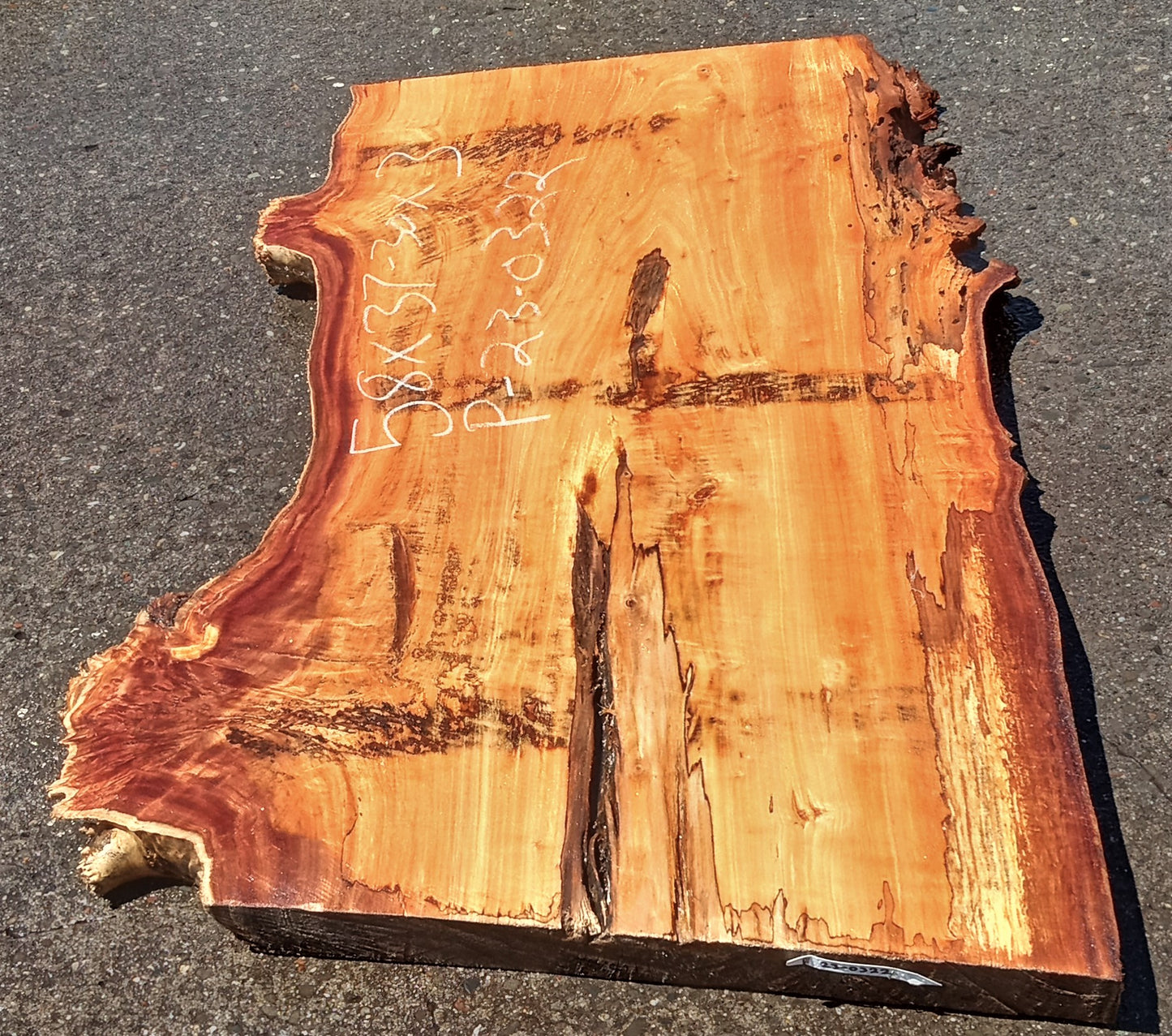 Poplar cluster burl | epoxy river table | live edge slab | DIY ideas | p23-0322