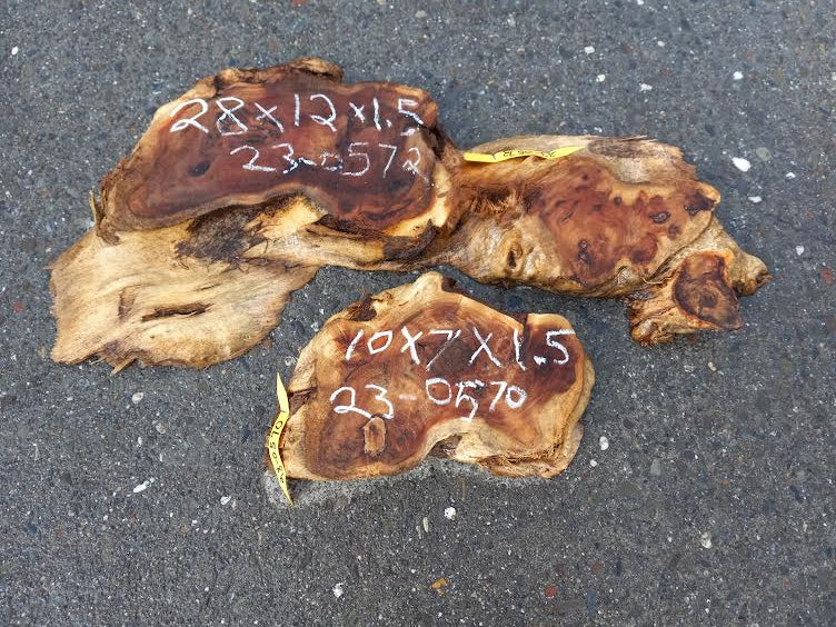 Mappa burl | | live edge | DIY | epoxy river table | p23-0572 and 0570