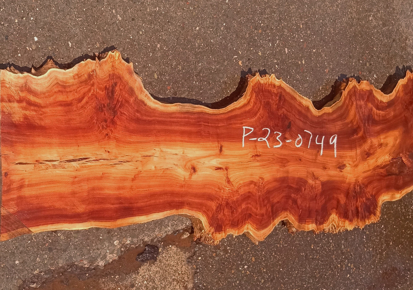 Mappa burl | Poplar | river table | live edge slab | DIY ideas | p23-0749