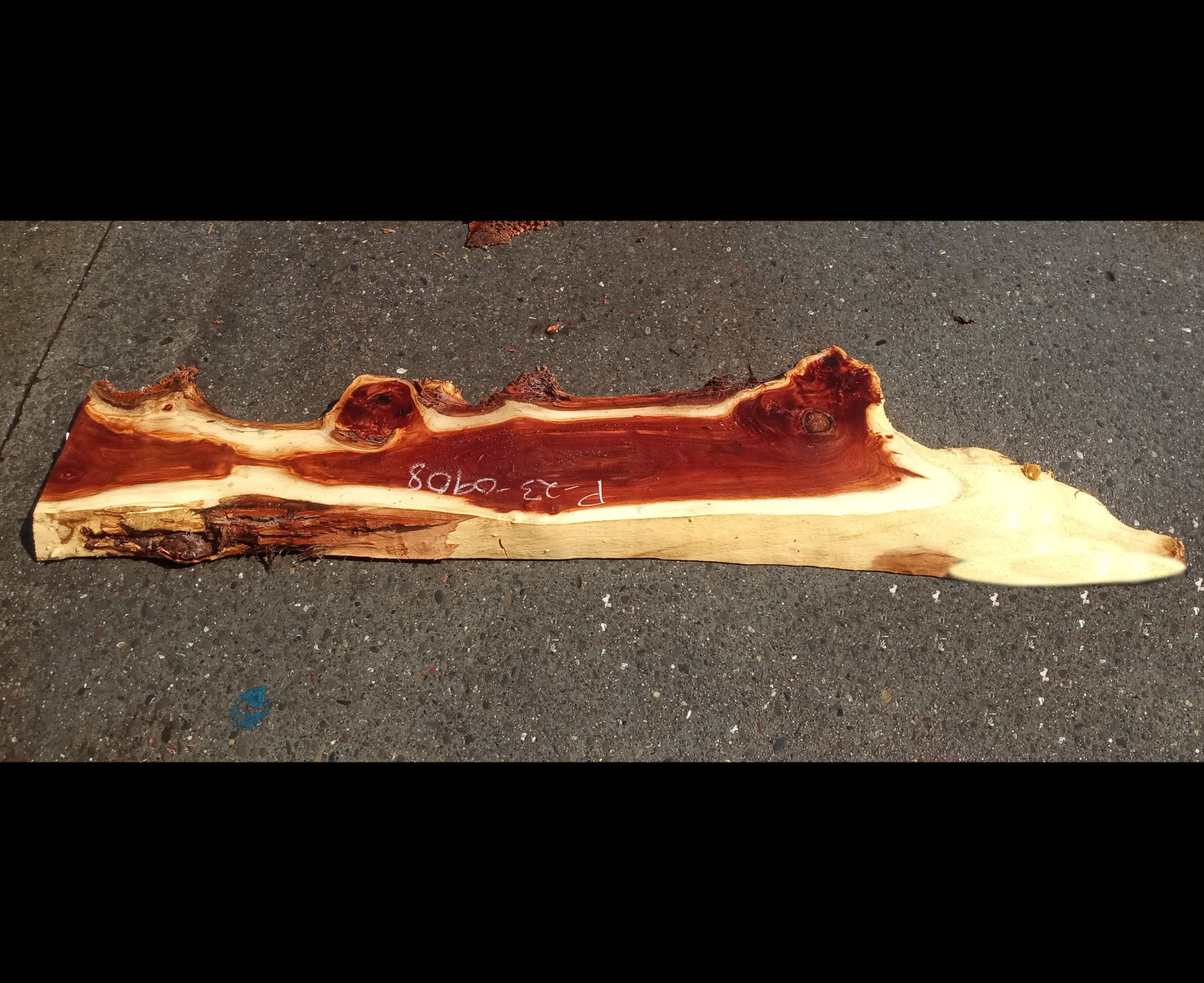 Mappa burl | Poplar | river table | live edge slab | DIY ideas | p23-0908