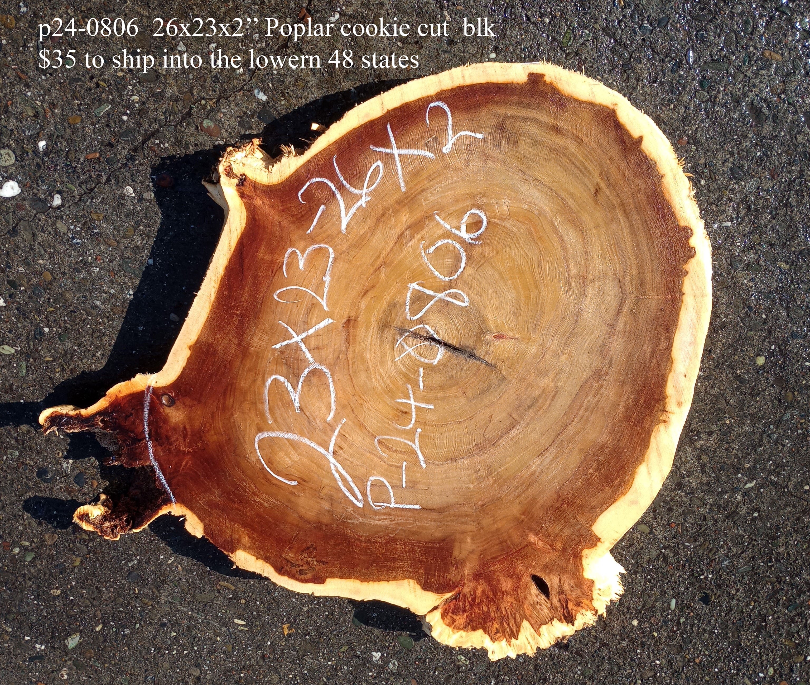 Poplar slab cookie cut craft woods DIY river table P240806