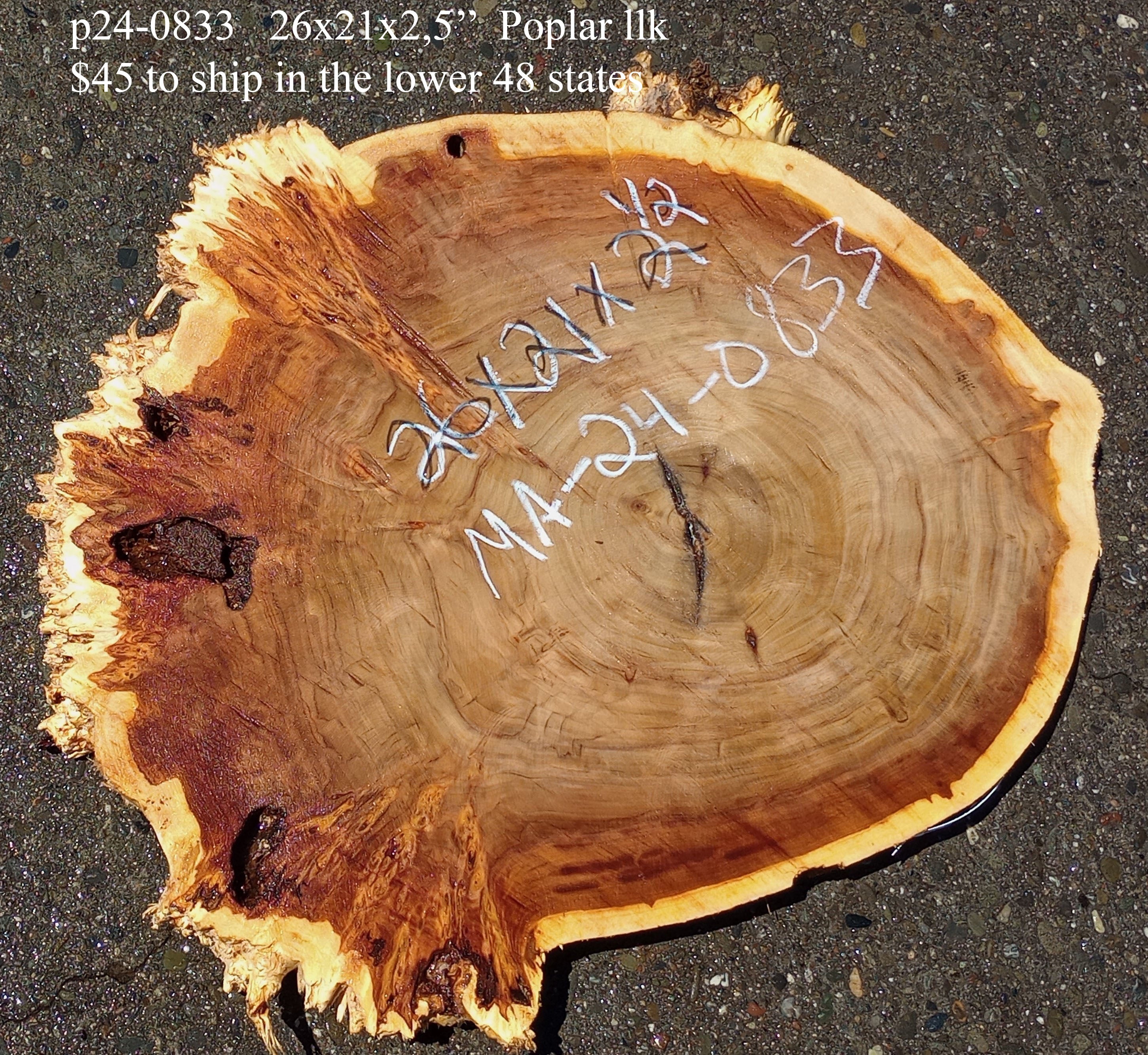 Poplar slab cookie cut craft woods DIY river table P240833