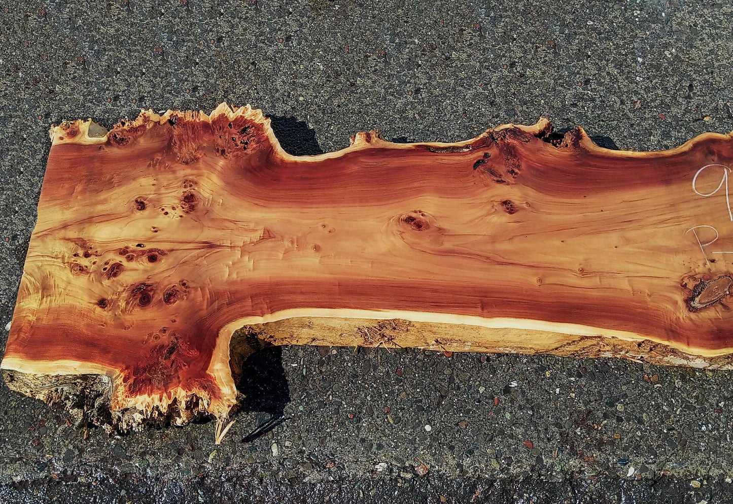 Poplar Burl Slab | Burl | Epoxy River Table Idea | P24-0885