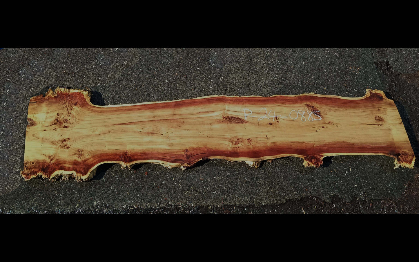 Poplar Burl Slab | Burl | Epoxy River Table Idea | P24-0885