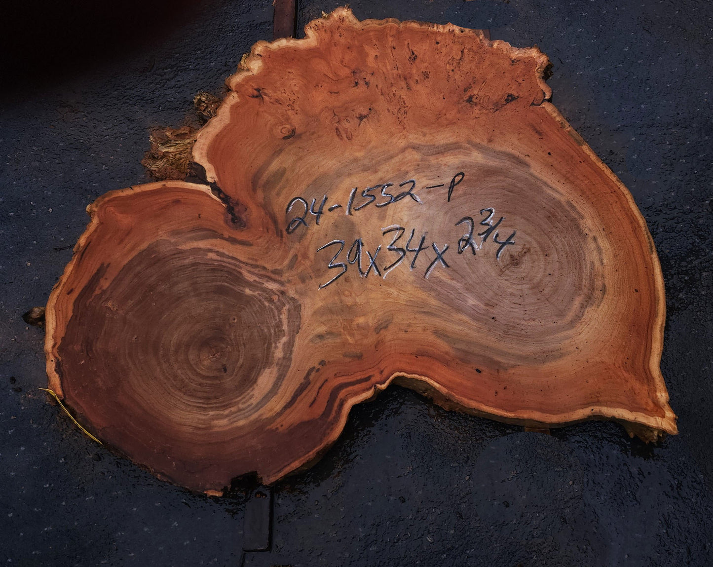 Mappa Poplar slab | live edge | cookie cut | DIY crafts | p24-1552