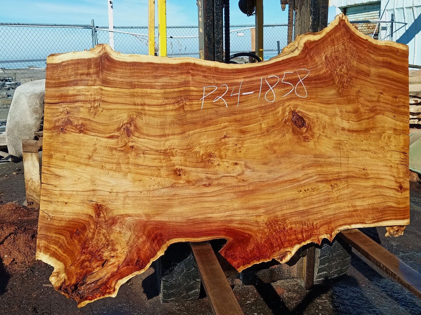 Mappa Burl Slab | River Table | Live Edge | p24-1858