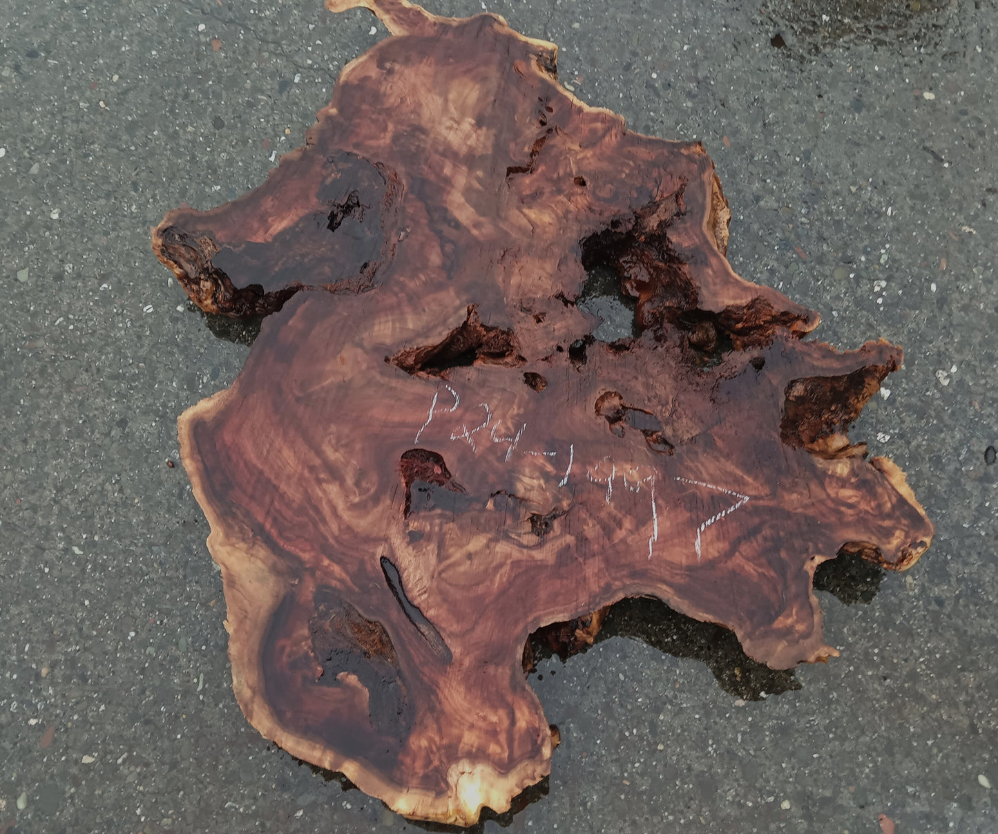 Mappa Burl Slab | Live Edge | DIY Crafts | River table | P24-1997