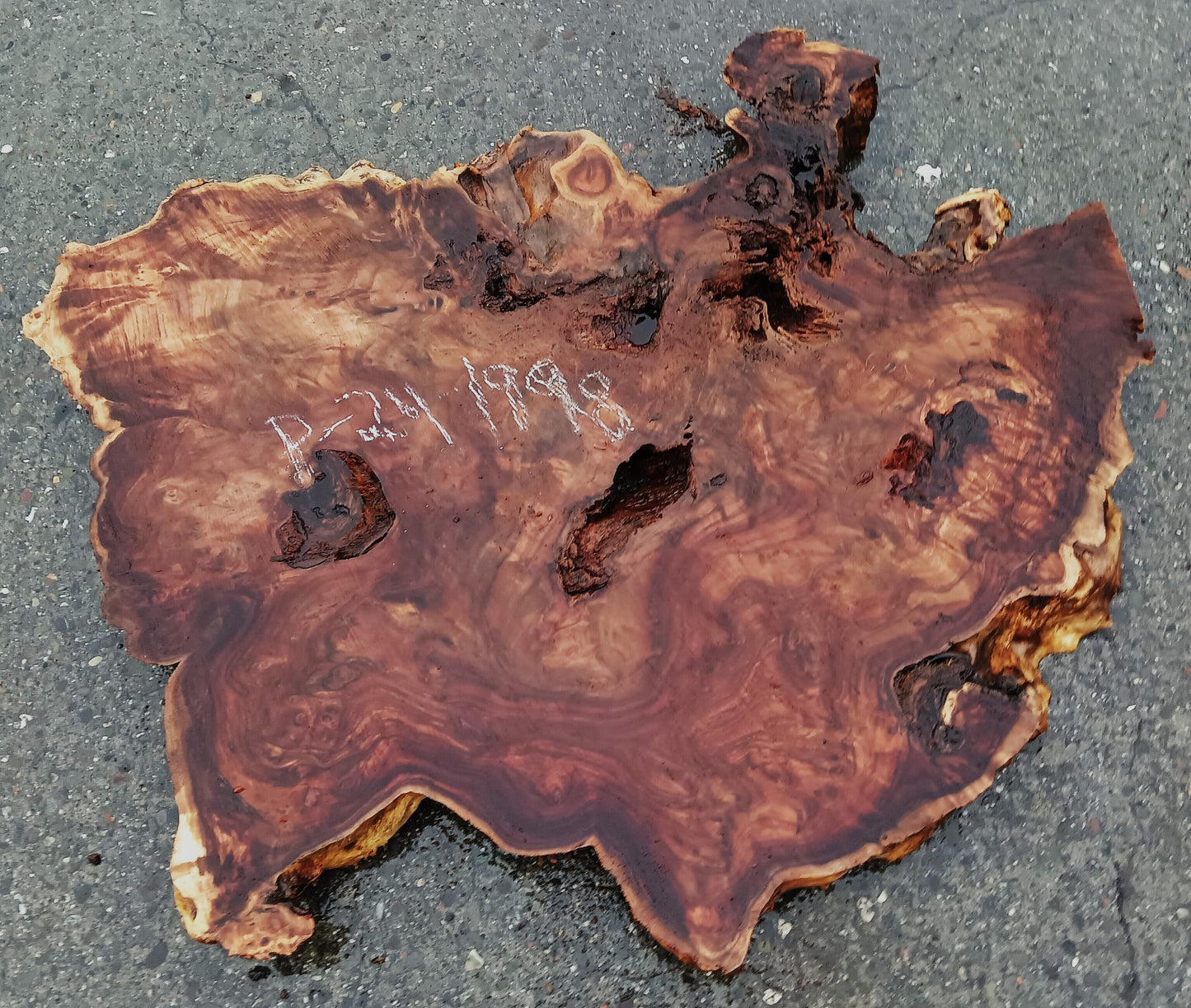 Mappa Burl Slab | Live Edge | DIY Crafts | River Table | P24-1998