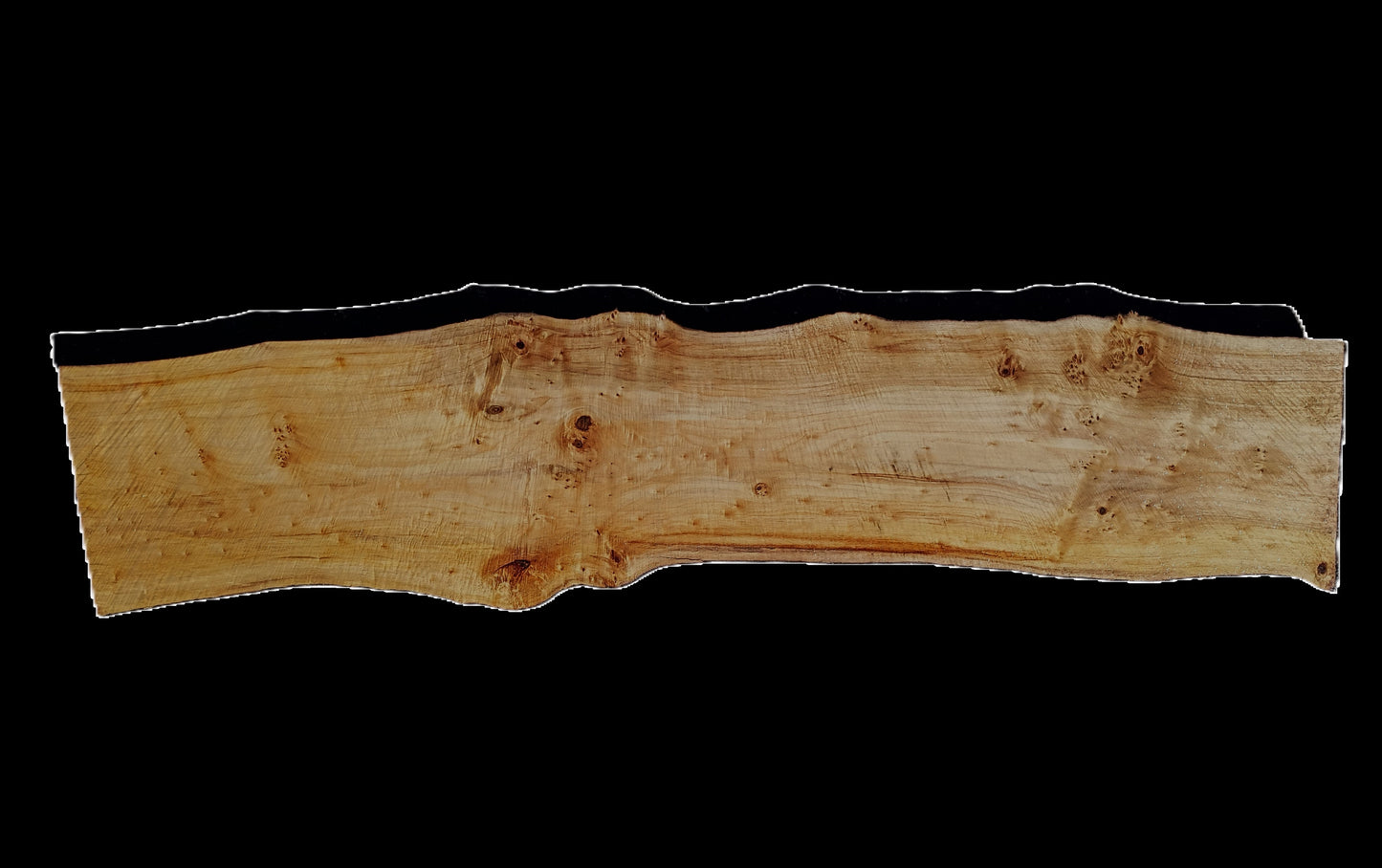 CottonWood Burl | Live Edge | DIY Crafts | River Table | P25-0680