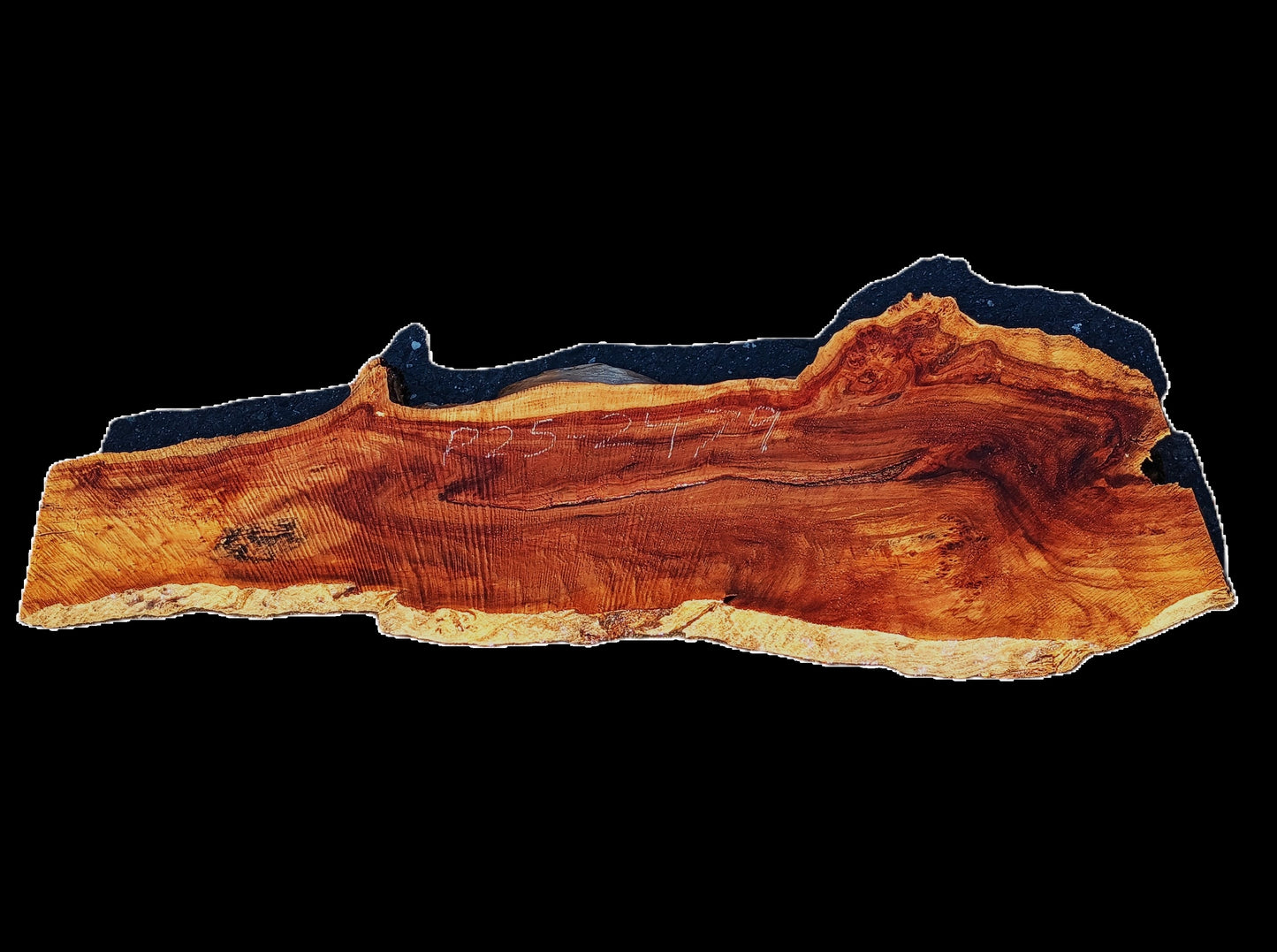 CottonWood Burl | Live Edge | DIY Crafts | River Table | P25-2479