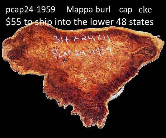 Mappa Burl Cap | Bowl Turning | Craft Wood | DIY wood crafts | PCAP24-1959