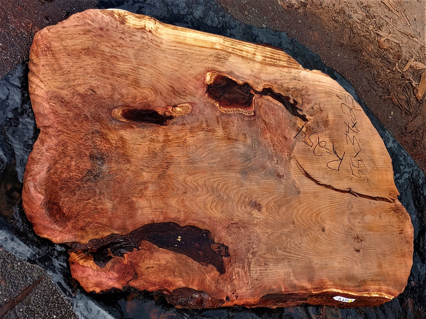 redwood l epoxy river table | live edge slab | burl table | r-254