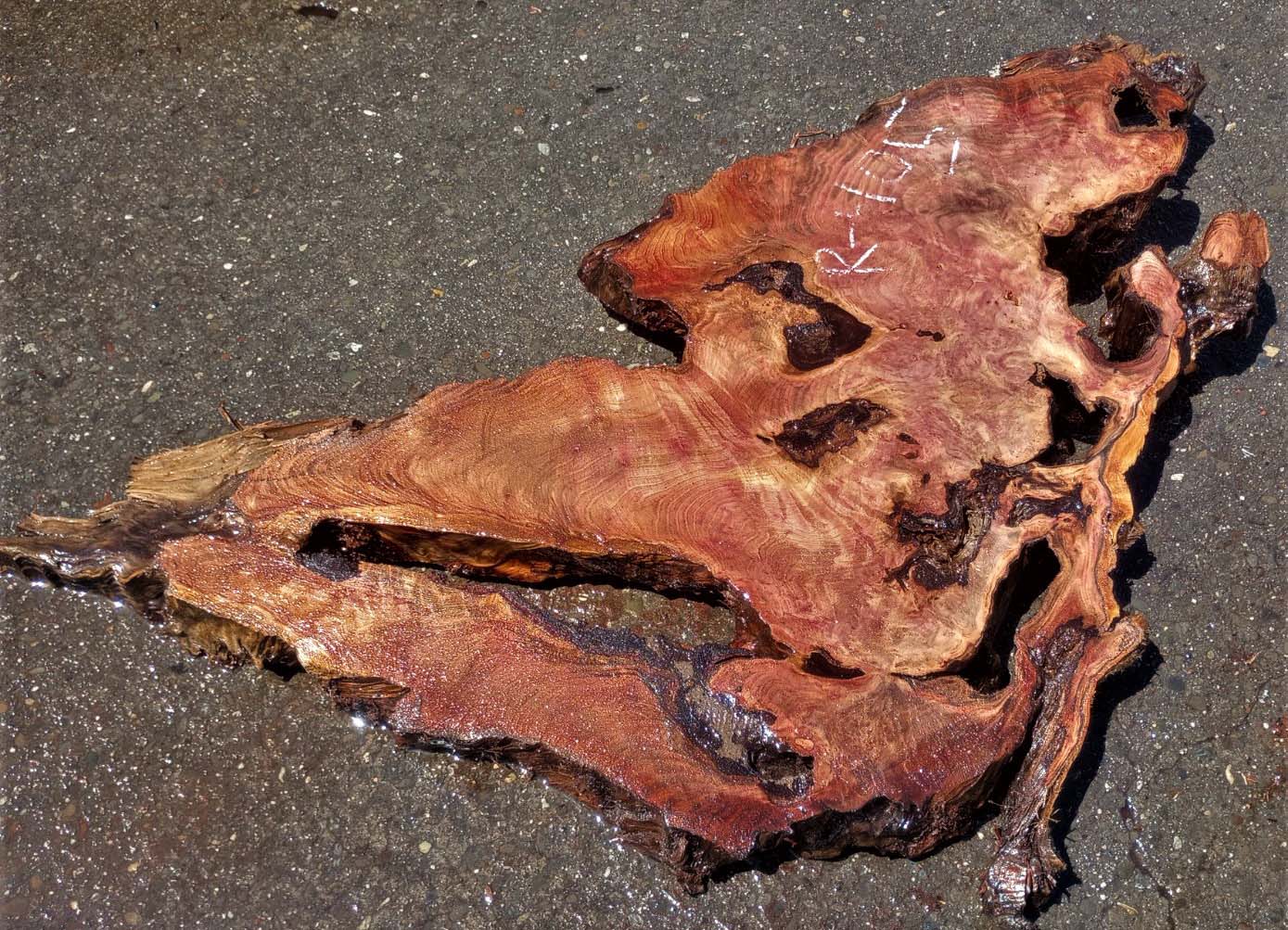 redwood burl | epoxy river table | live edge | DIY wood crafts | r405