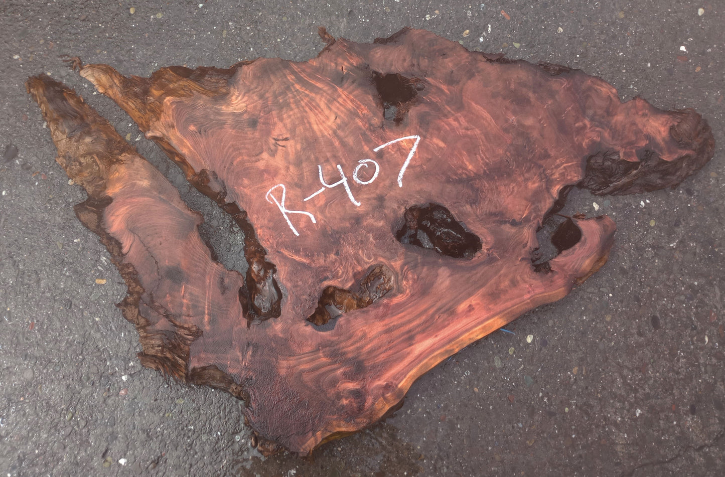 Redwood Burl Slab | DIY craft wood | live Table | Redwood | R24-407
