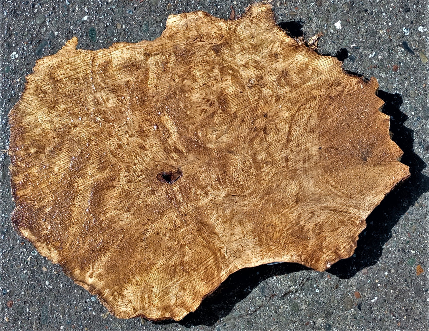Myrtle burl | live edge slab | Bay Laurel | DIY wood ideas | mrt497