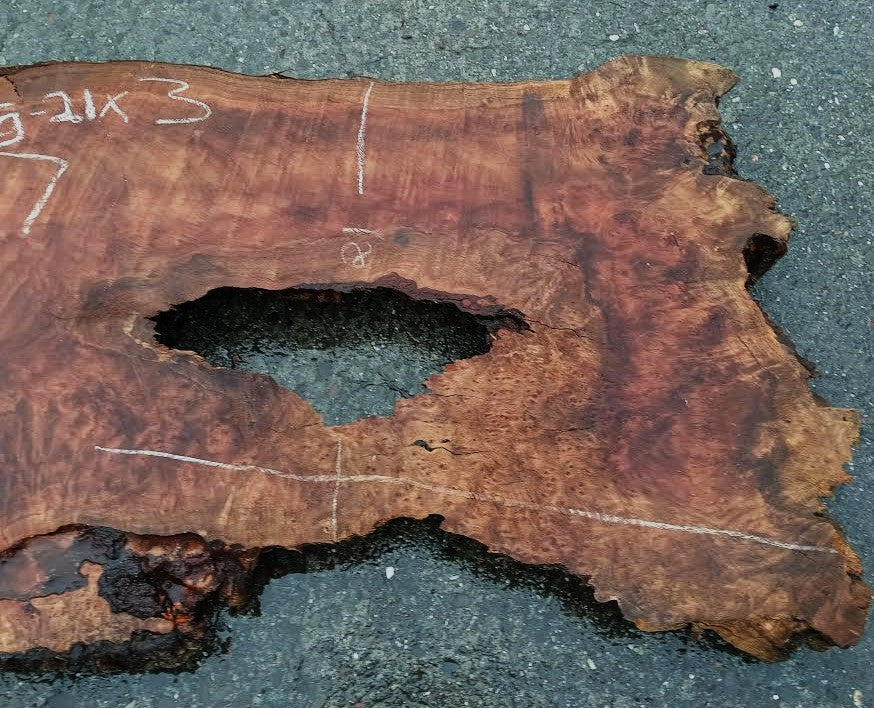 Lace Burl & Curly Slab | River Table | DIY | Headboard | R-7