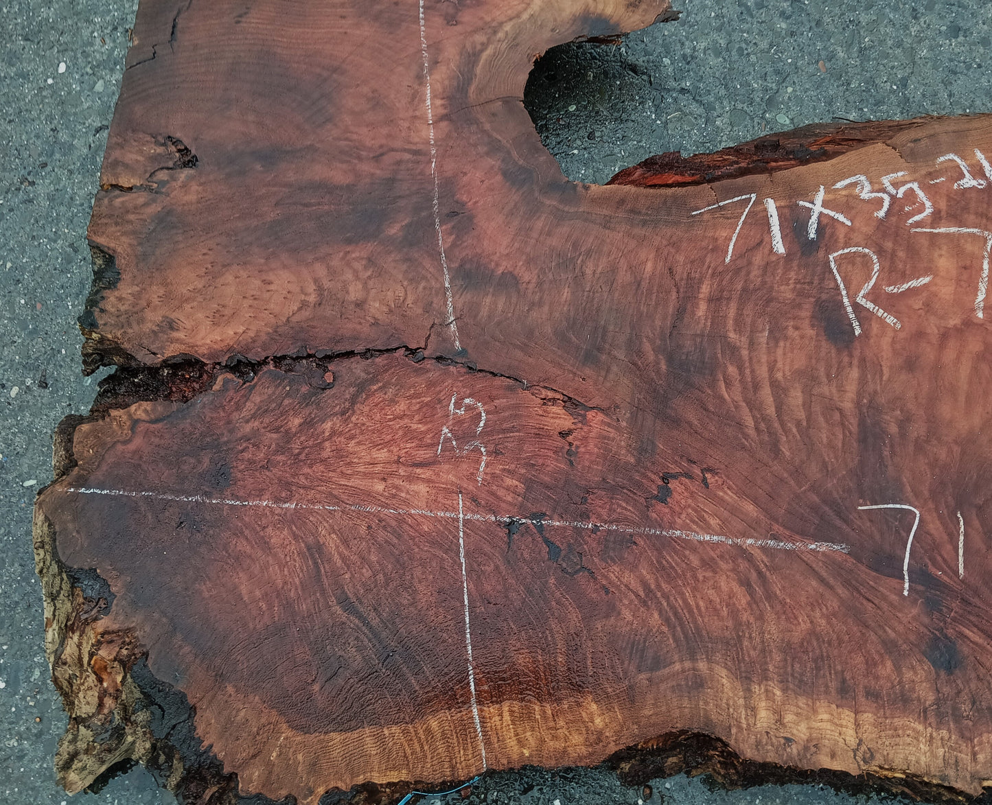 Lace Burl & Curly Slab | River Table | DIY | Headboard | R-7