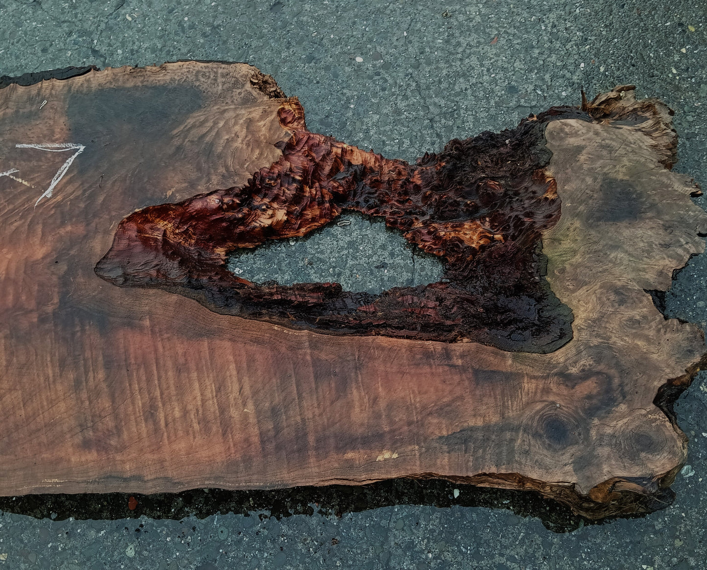 Lace Burl & Curly Slab | River Table | DIY | Headboard | R-7