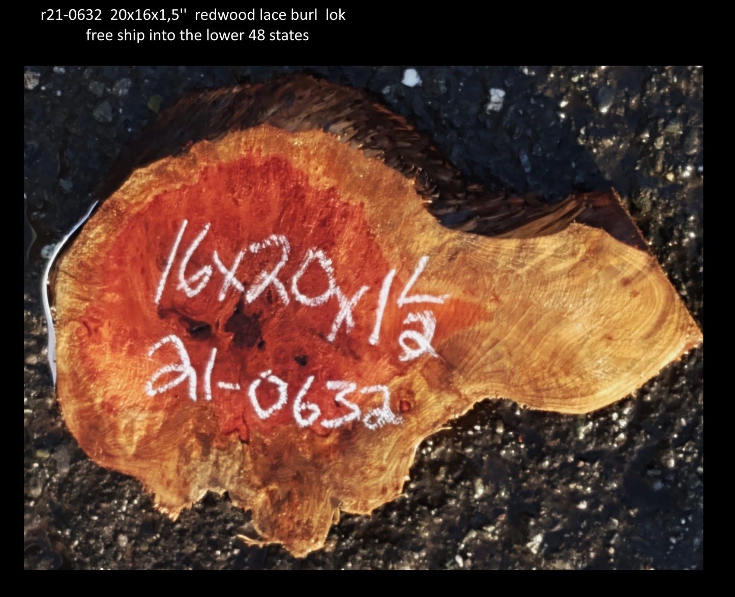 Redwood Lace Burl | DIY Crafts | Craft Wood | R21-0632