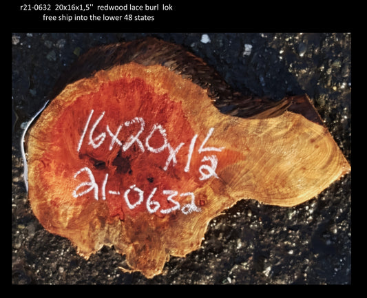Redwood Lace Burl | DIY Crafts  | Craft Wood | R21-0632