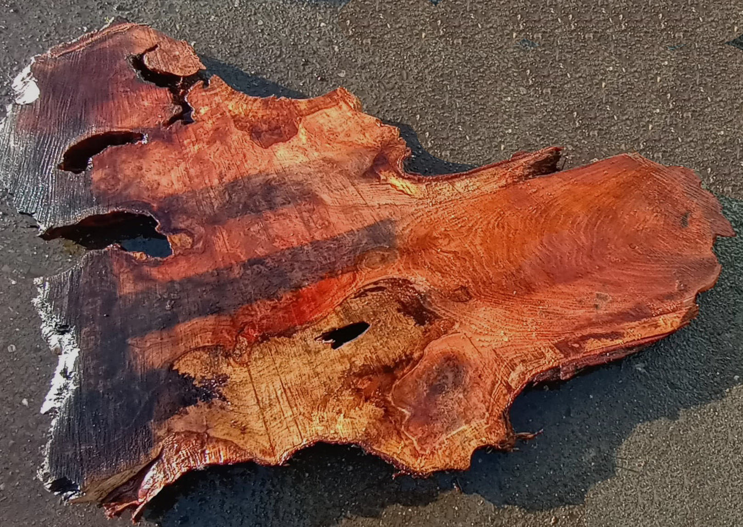 Redwood Slab | River Table | Wall Art | DIY | craft wood | r22-114