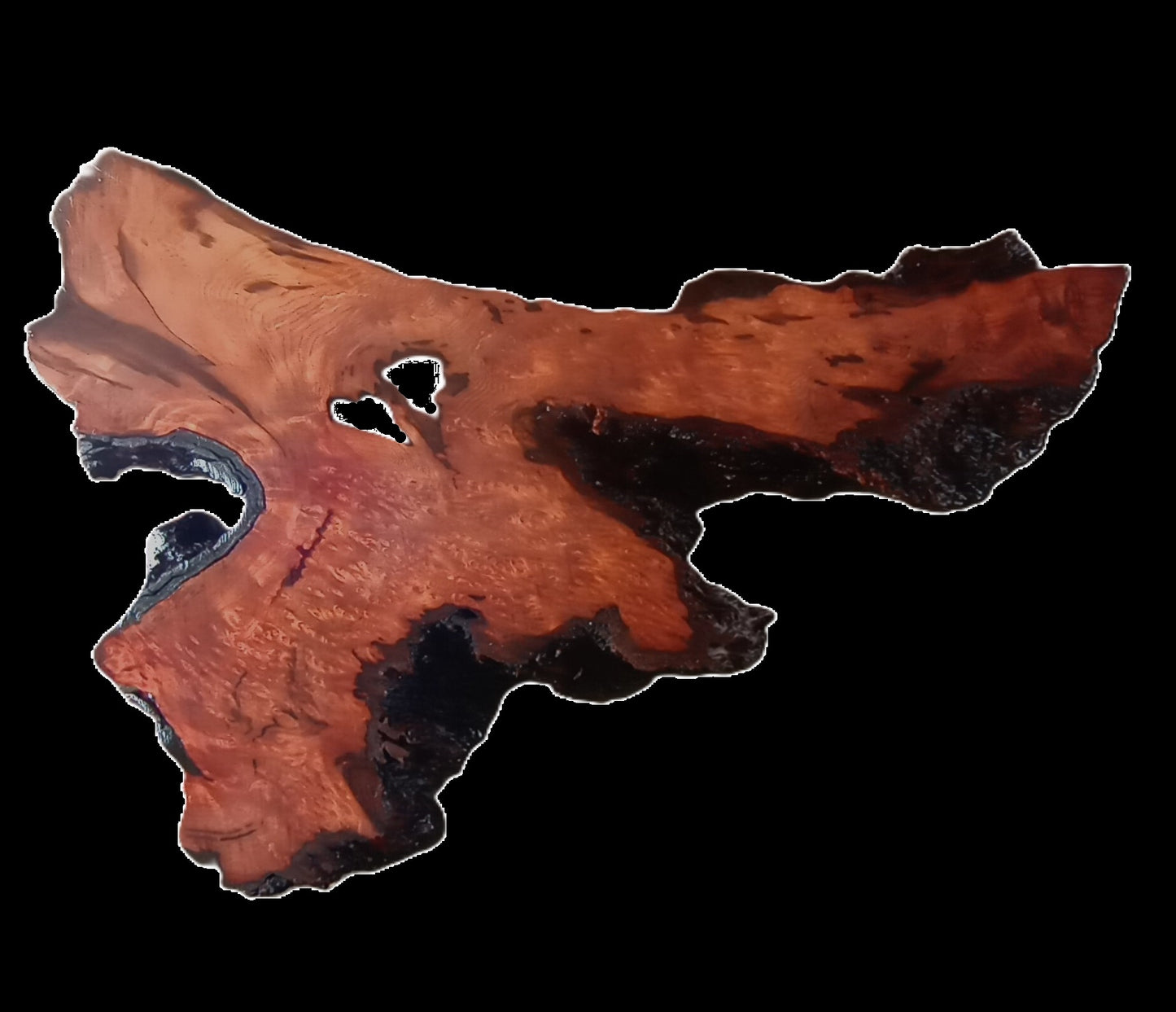 Redwood Lace Burl | DIY Crafts | Craft Wood | R22-115