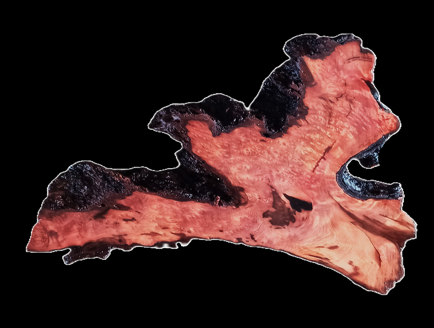 Redwood Lace Burl | DIY Crafts | Craft Wood | R22-115