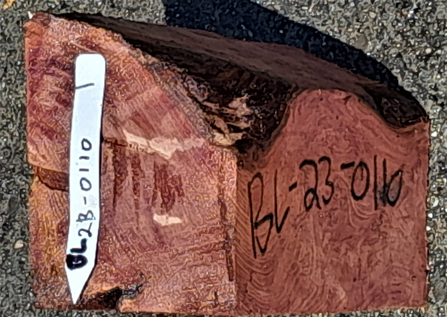 redwood burl | DIY crafts | wood turning | bowl block blank | bl23-0110