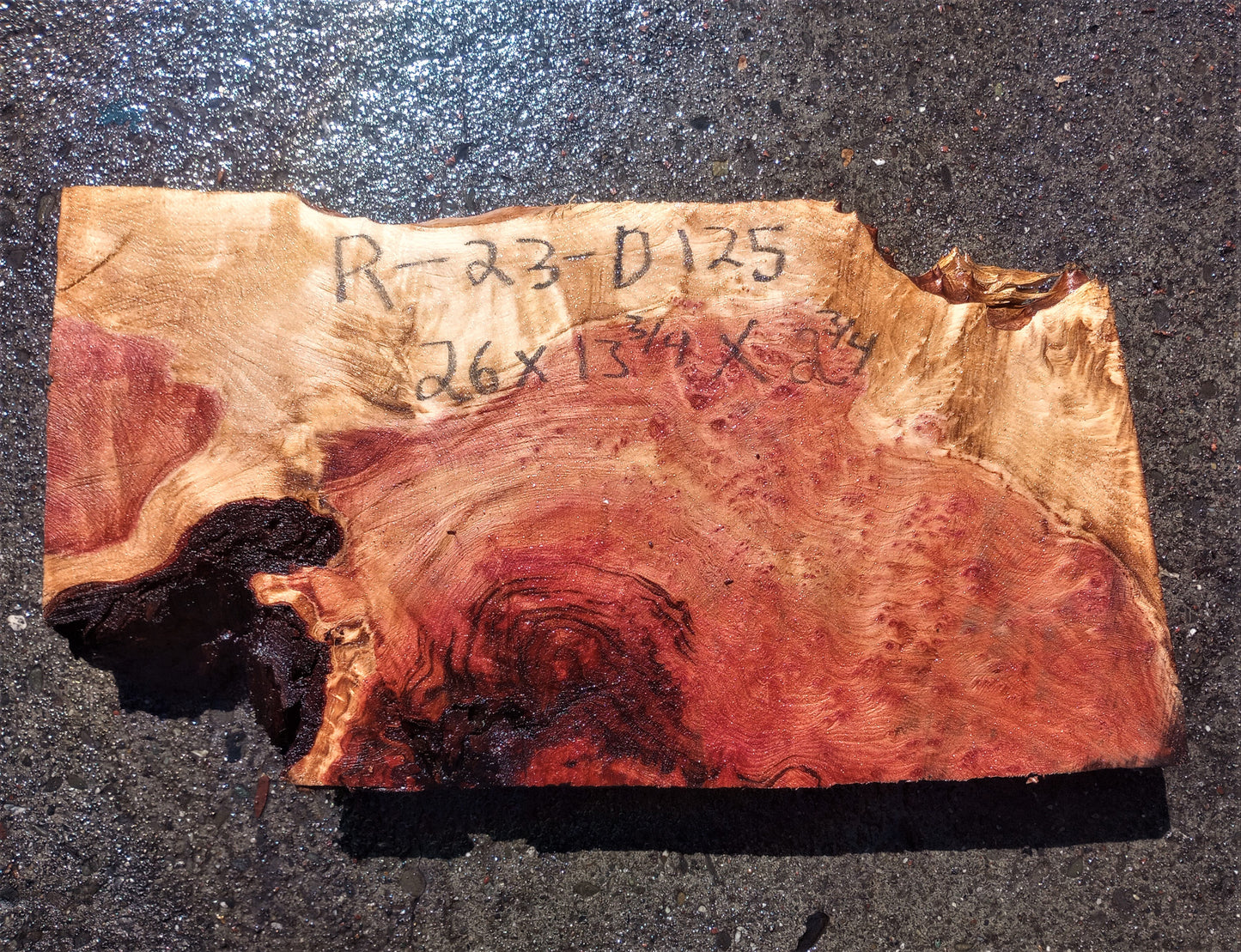 Redwood lace burl | turning block | DIY crafts | r23-0125