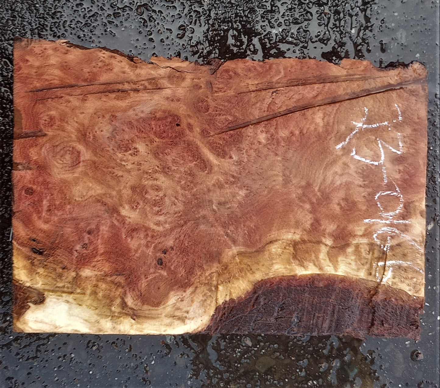Redwood lace burl | guitar billet | DIY wood crafts | bowl turning | r23-0166