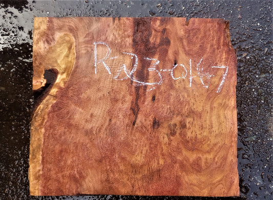 Redwood burl | DIY wood crafts | bowl turning | r23-0167