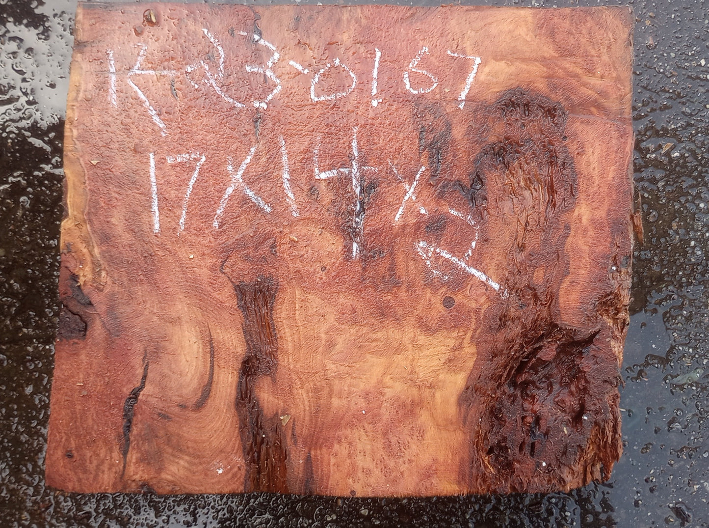 Redwood burl | DIY wood crafts | bowl turning | r23-0167