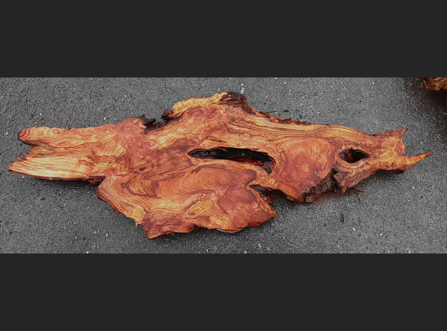Redwood slab | Coffee Table | DIY | headboard |wall decoration | R23-0179