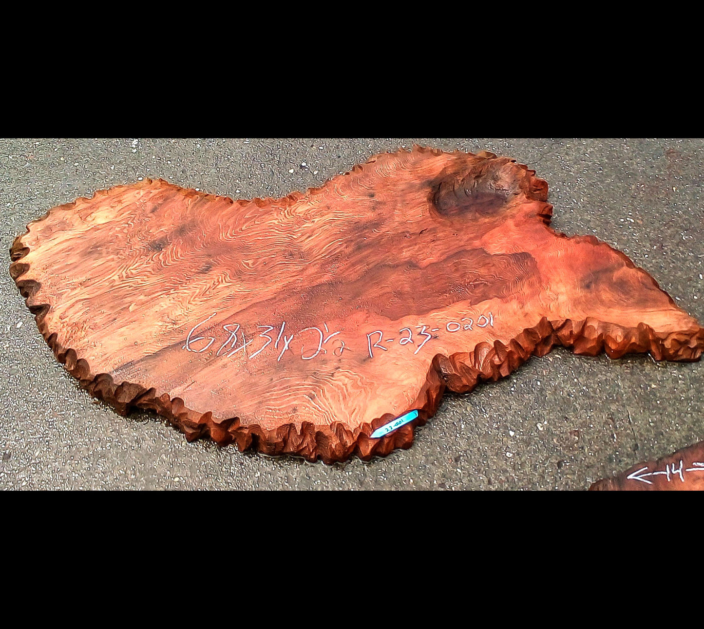 curly Redwood burl | live edge slab | DIY wood crafts | burl table | r23-0201