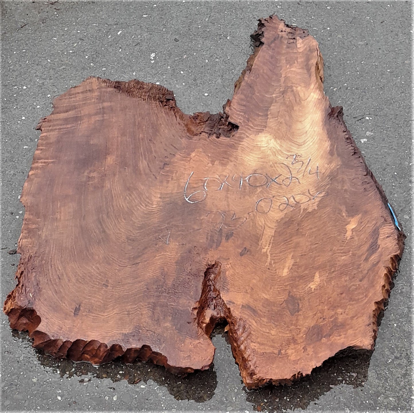 Redwood burl | live edge slab | DIY wood crafts | burl table | r23-0206