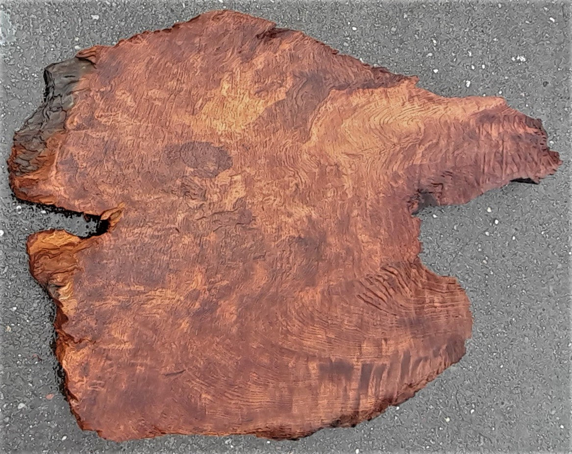 Redwood burl | live edge slab | DIY wood crafts | burl table | r23-0206