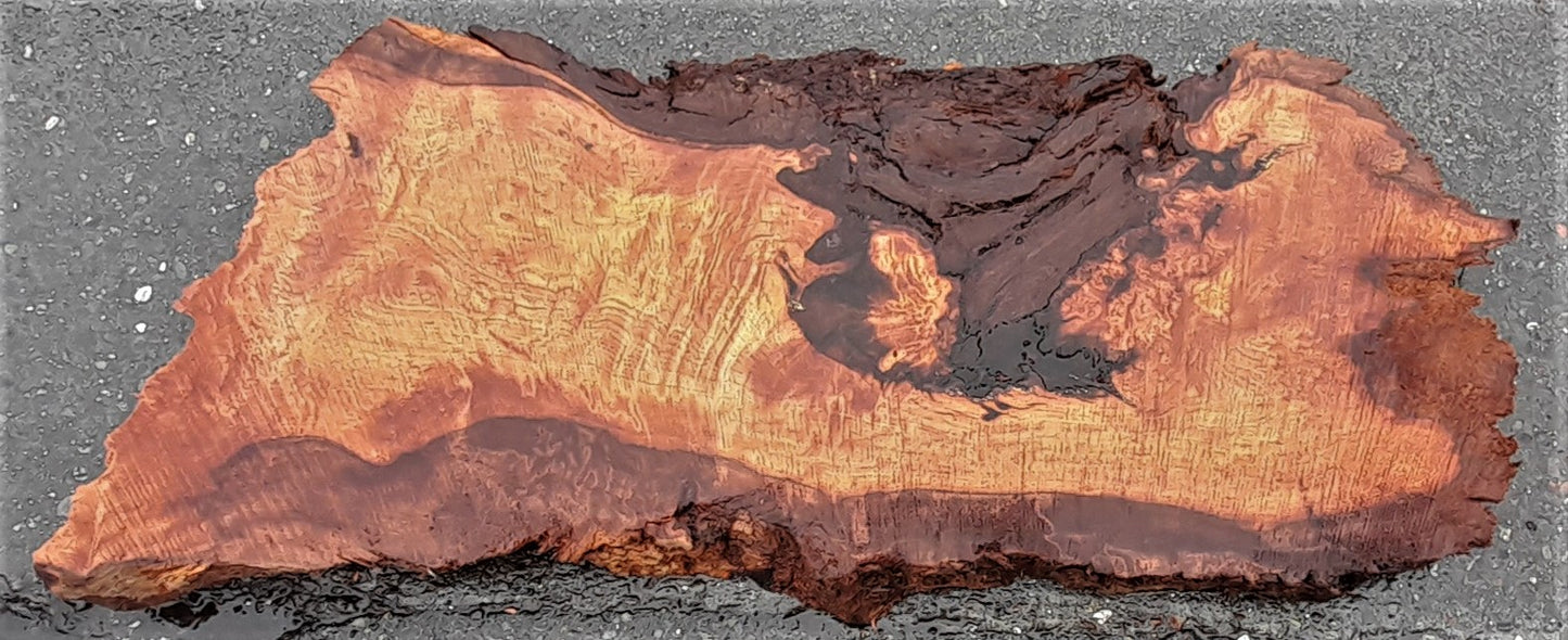 Redwood burl | epoxy river table | DIY wood crafts | table | r23-0211