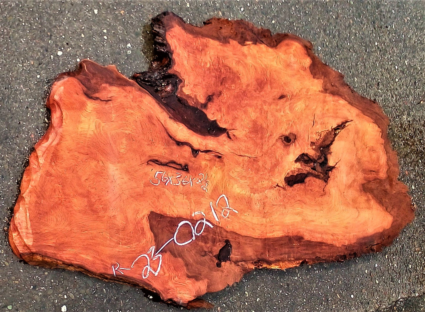 curly Redwood burl | live edge slab | DIY wood crafts | burl table | r23-0212