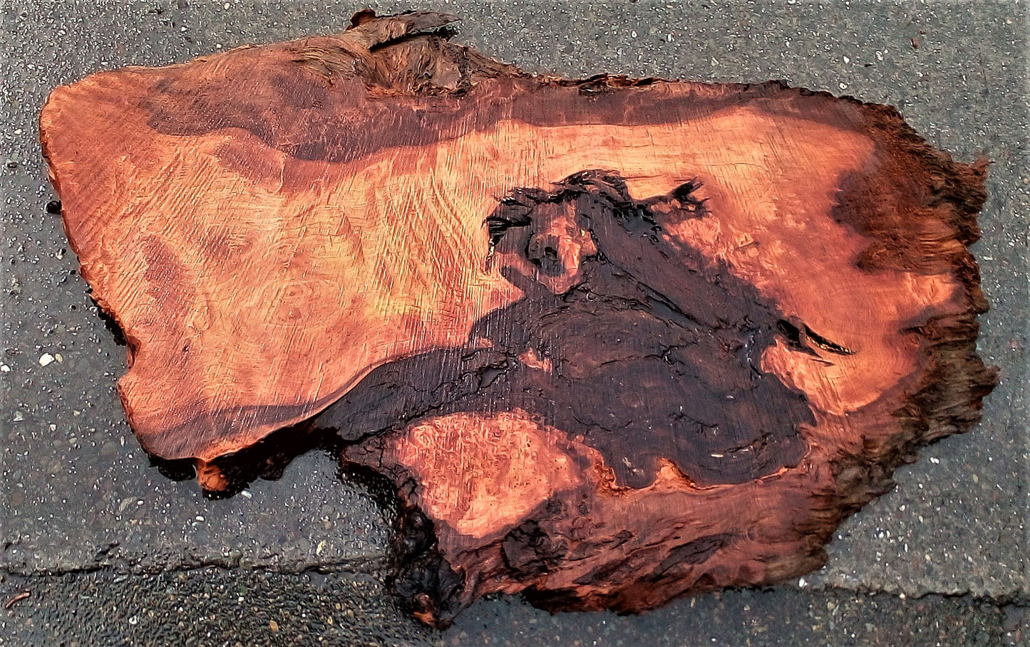 curly Redwood burl | live edge slab | DIY wood crafts | burl table | r23-0212