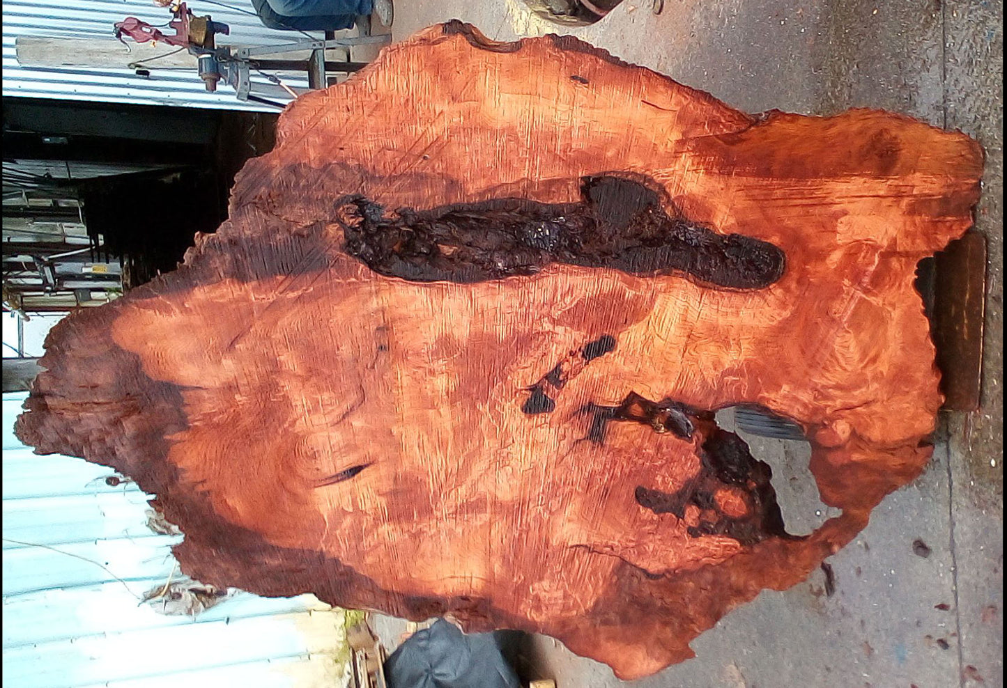 Redwood burl | live edge slab | DIY wood crafts | burl table | r23-0217