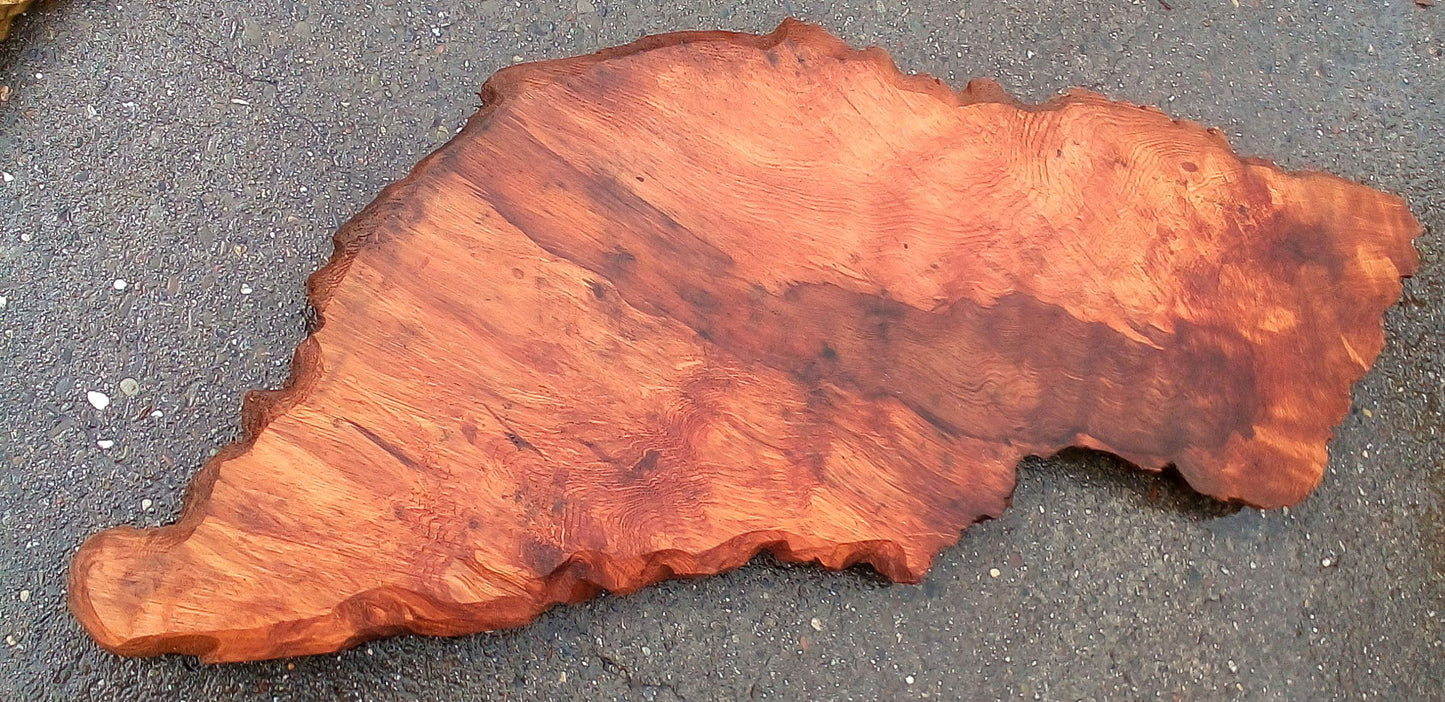 Redwood burl | epoxy river table | DIY wood crafts | burl table | r23-0223