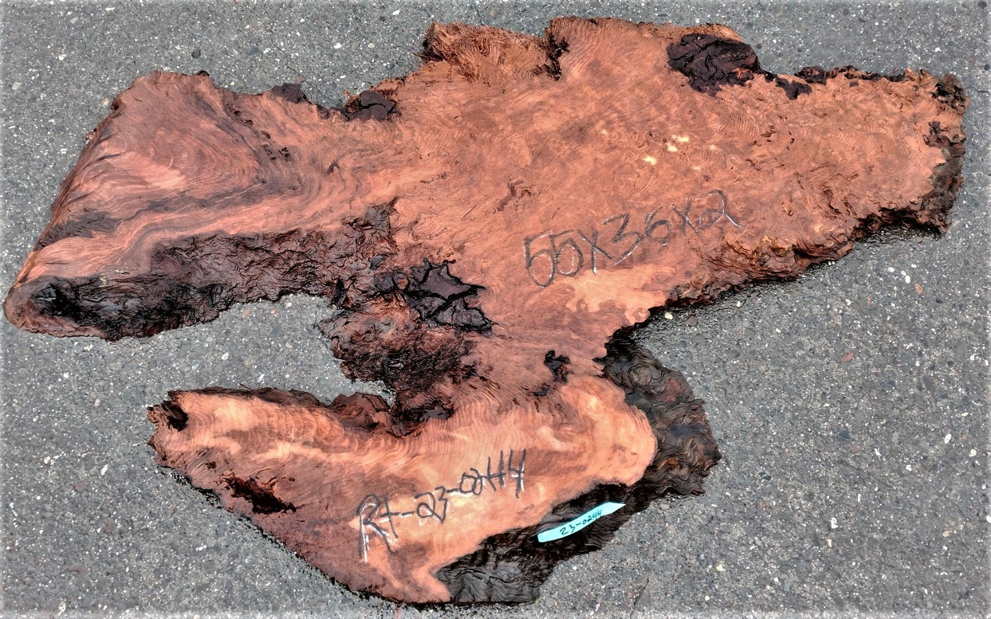 curly Redwood burl | live edge slab | DIY wood crafts | burl table | r23-0244