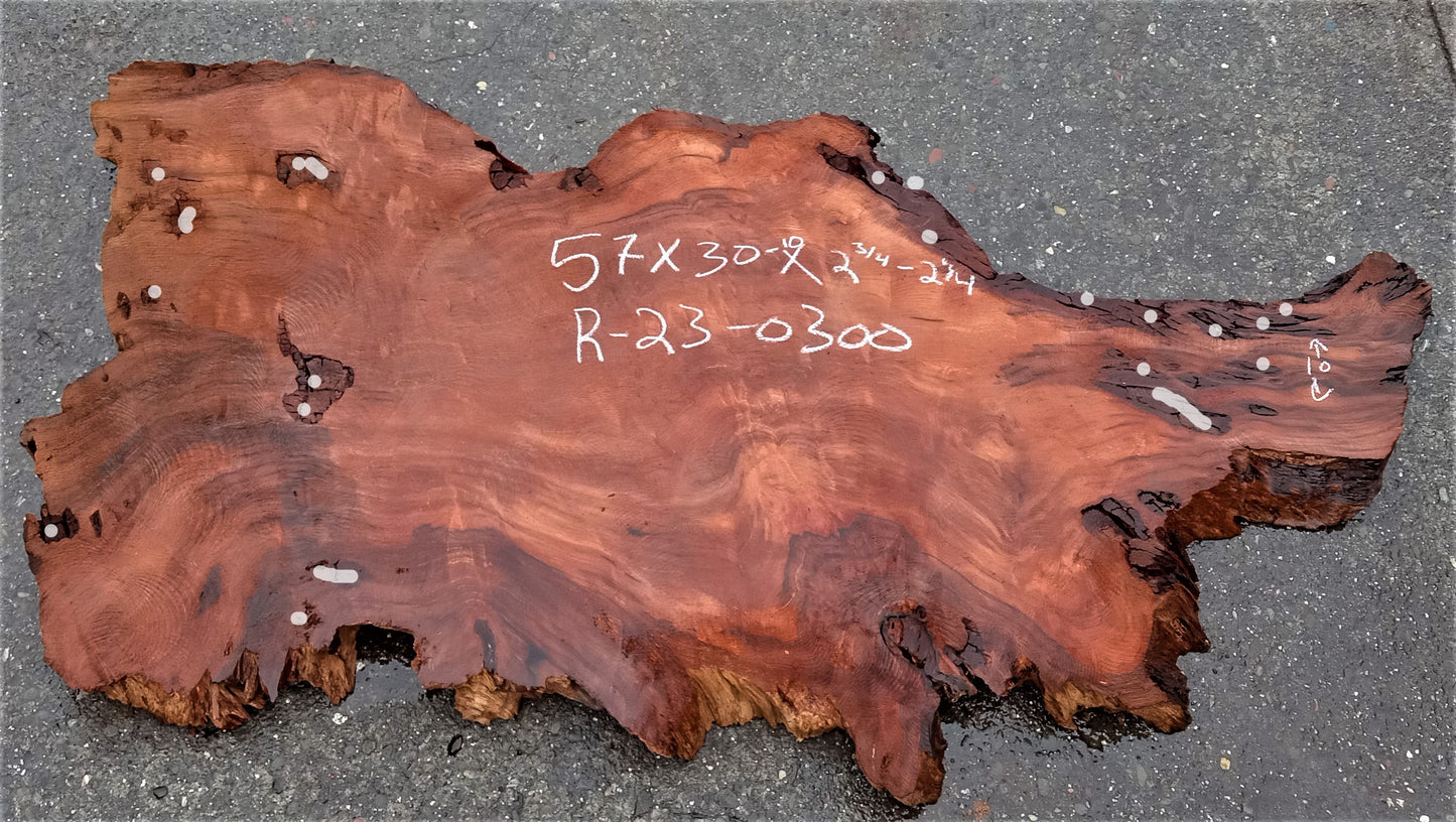 Redwood burl | live edge slab | DIY wood crafts | burl table | r23-0300