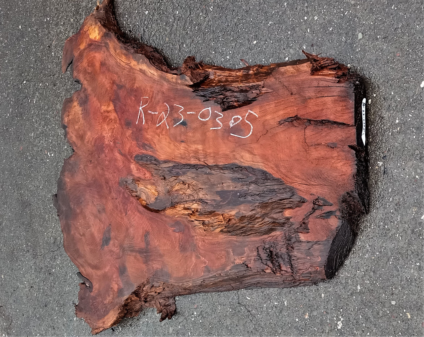 Redwood burl | live edge slab | DIY wood crafts | burl table | r23-0387